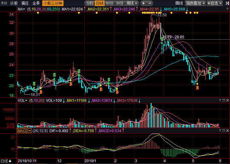 探索002883股吧，投資者的樂園與信息中心，探索投資者樂園，股吧002883信息中心
