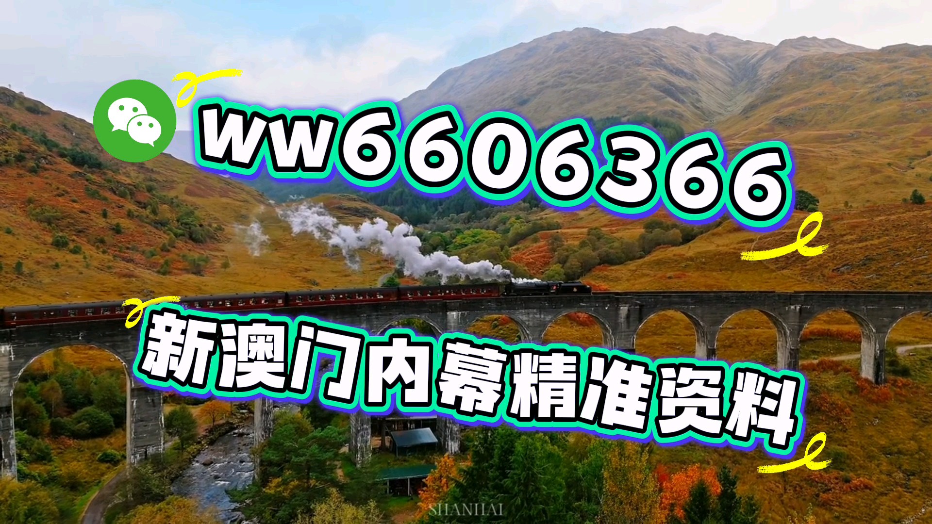 澳門一肖一碼期期準(zhǔn)必開一肖，揭秘彩票背后的秘密與策略，揭秘澳門彩票背后的秘密策略與期期必開一肖的真相