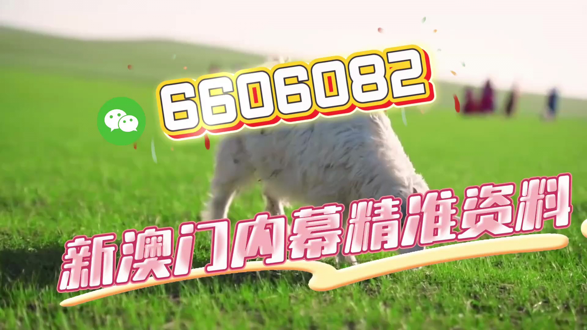 新澳門一肖一碼中恃一句——揭秘與探索彩票奧秘，揭秘彩票奧秘，新澳門一肖一碼中特選號(hào)碼背后的秘密