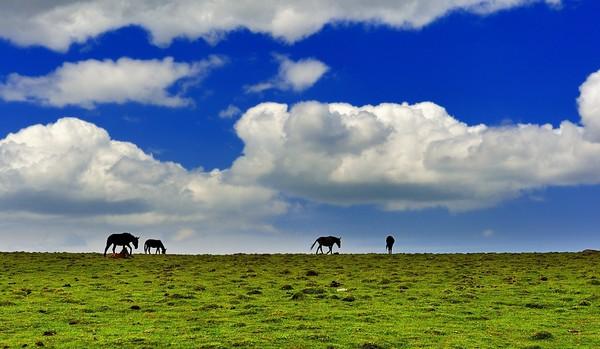 納木錯(cuò)湖簡(jiǎn)介——神秘高原湖泊的魅力之旅，納木錯(cuò)湖，神秘高原湖泊的魅力探秘之旅