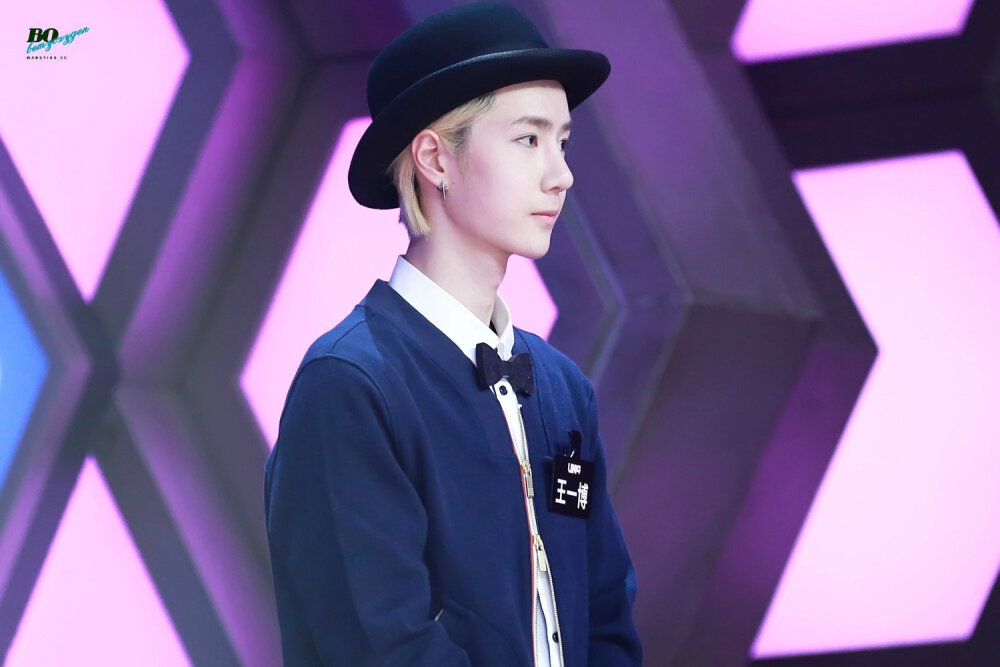 王中王一肖中特白小姐，探索背后的故事與神秘魅力，王中王一肖中特白小姐，揭秘背后的故事與神秘魅力