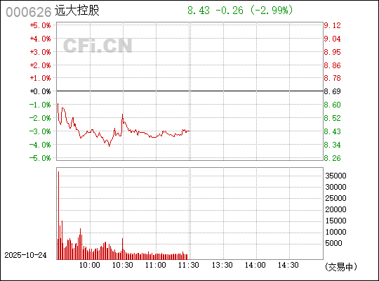 關(guān)于000626遠(yuǎn)大控股股吧的全面解析，000626遠(yuǎn)大控股股吧深度解析