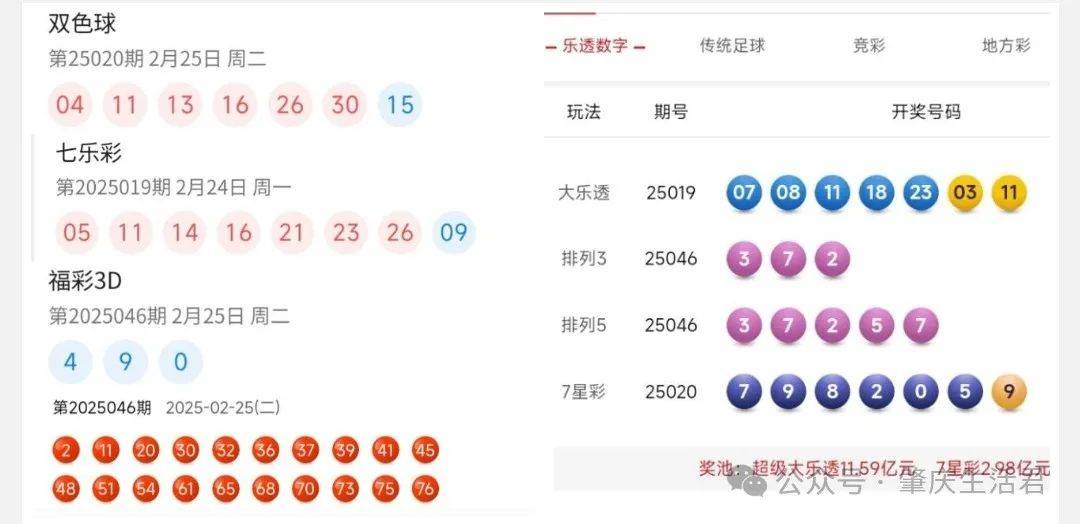 香港今晚開獎結(jié)果號碼是多少——揭秘彩票背后的秘密，揭秘彩票背后的秘密，香港今晚開獎結(jié)果號碼揭曉