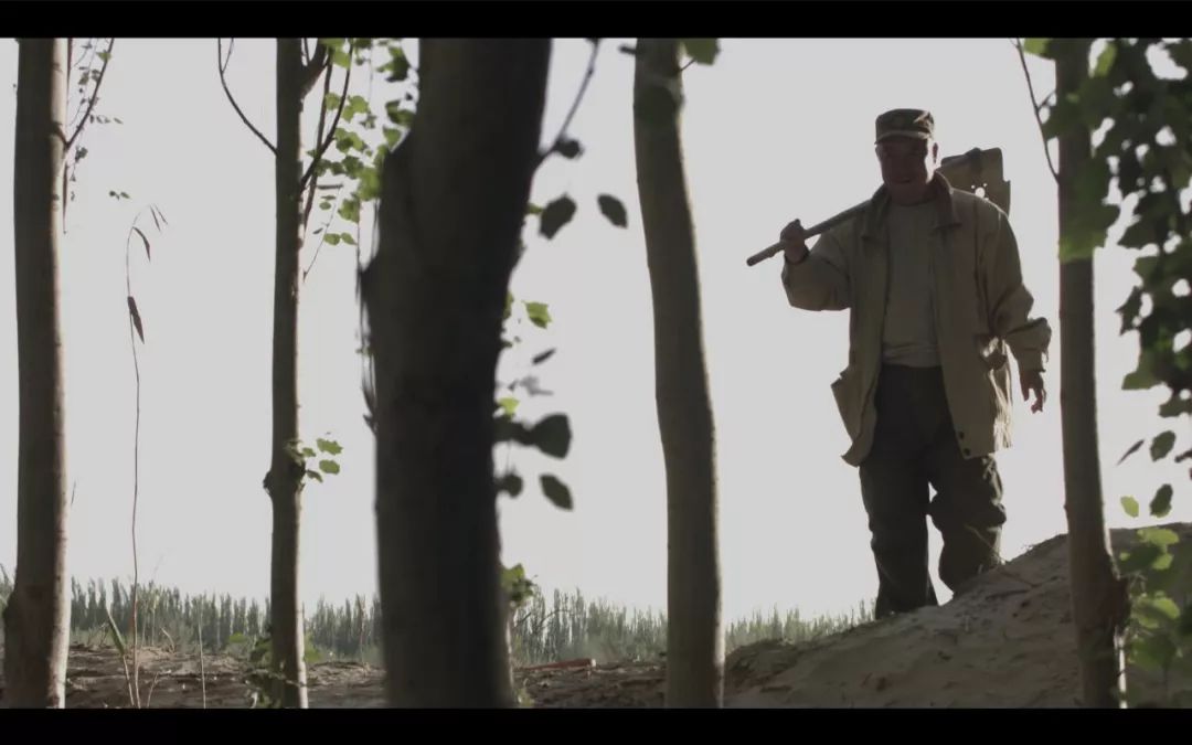 今晚劉伯溫四不像一肖圖，揭秘神秘預(yù)測(cè)背后的故事，揭秘劉伯溫四不像一肖圖的神秘預(yù)測(cè)故事