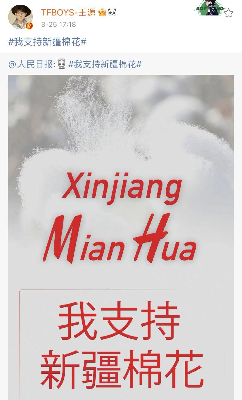 曾夫人王中王精準一肖，揭秘生肖預(yù)測的魅力與真相，揭秘生肖預(yù)測真相，曾夫人王中王精準一肖的魅力與探討