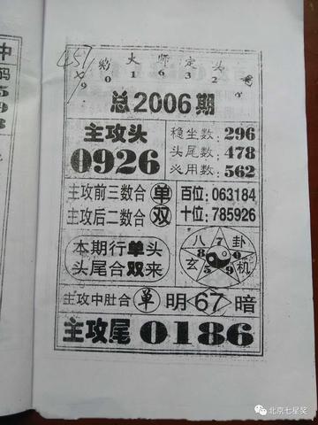 王中王四馬一肖，探尋背后的故事與奧秘，王中王四馬一肖，背后的故事與奧秘探尋