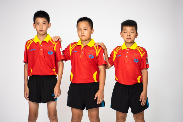 王中王白小姐四肖選一，揭秘背后的秘密與策略，揭秘王中王白小姐四肖選一背后的秘密與策略之道