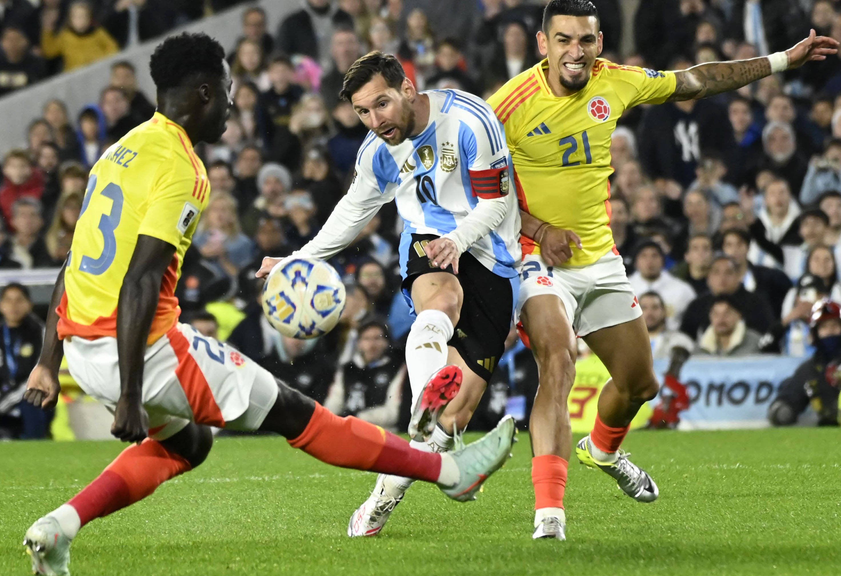 王中王一肖，揭秘碼一特一中的奧秘，揭秘王中王一肖特一中奧秘的真相