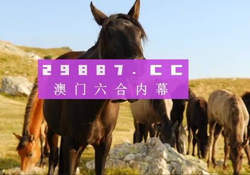 澳門八百圖庫開獎最快——全面解析與實用指南，澳門八百圖庫開獎最快，全面解析與實用指南手冊
