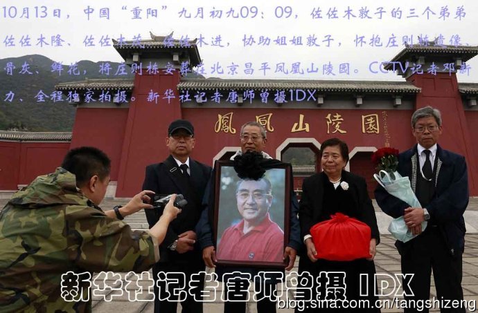 一肖出特王中王選，深度解析與SEO優(yōu)化策略，一肖出特王中王選，深度解析及SEO優(yōu)化策略全攻略