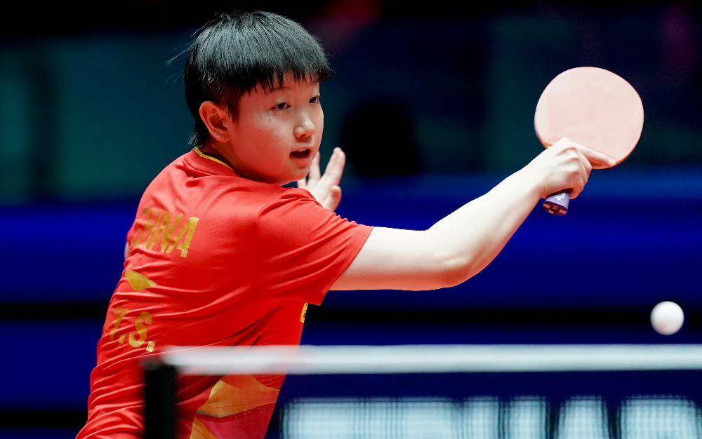 揭秘提升一肖一準(zhǔn)確率的策略與技巧，揭秘提升生肖預(yù)測準(zhǔn)確率的策略與技巧