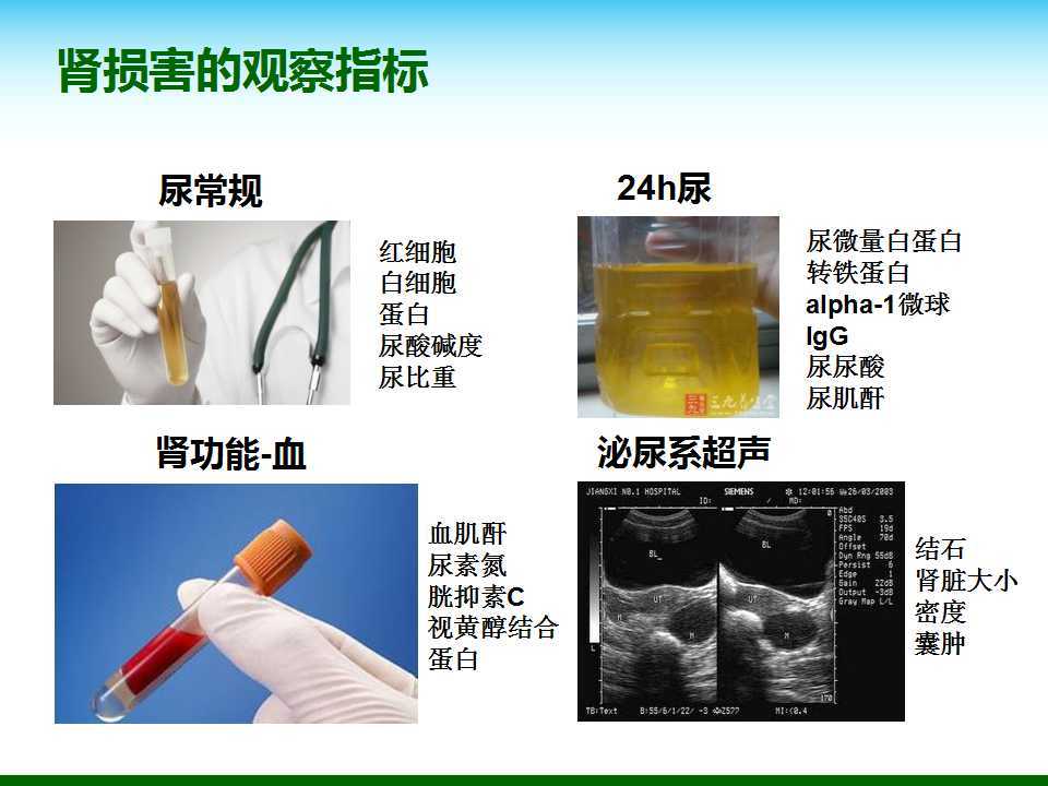 尿酸水平升高與腎臟健康，尿酸460是否意味著腎臟已經(jīng)受損？，尿酸水平升高與腎臟健康關(guān)系解析，尿酸460是否預(yù)示腎臟受損？