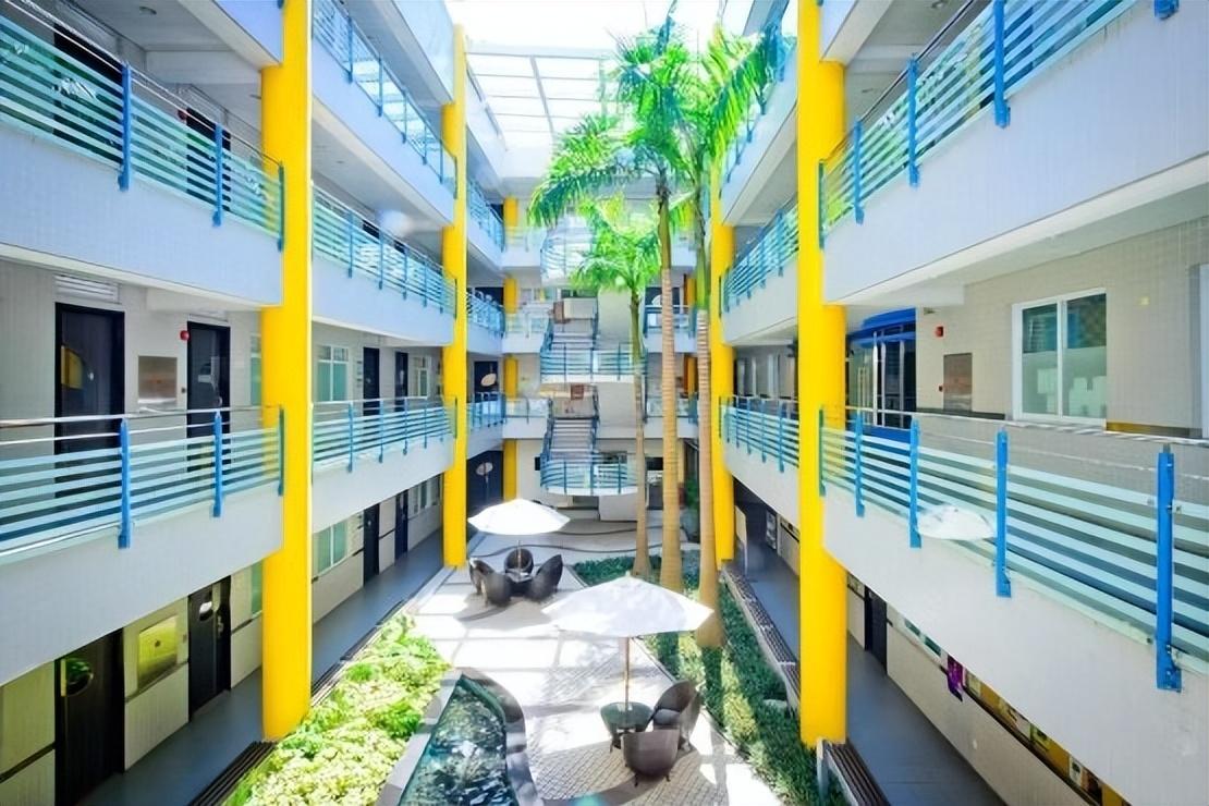 澳門精準資料，探索與解析，澳門精準資料，深度探索與解析