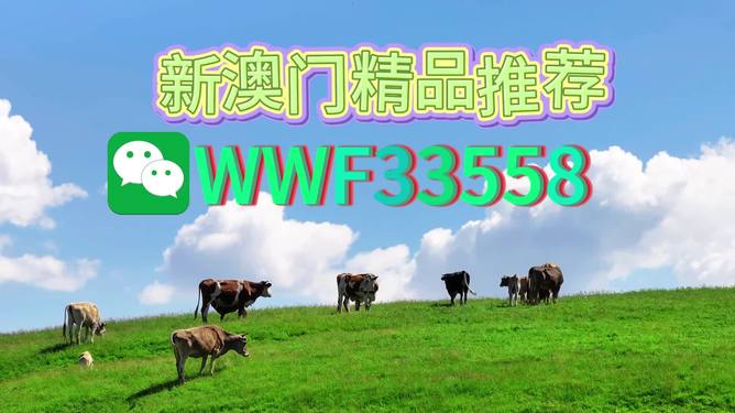 揭秘今晚9點30生肖運勢，你的生肖運勢如何？，揭秘今晚9點30生肖運勢，你的生肖運勢走向如何？