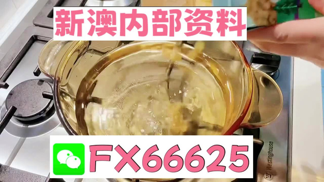 新澳一碼料，深度解析與SEO優(yōu)化策略，新澳一碼料深度解析與SEO優(yōu)化策略指南