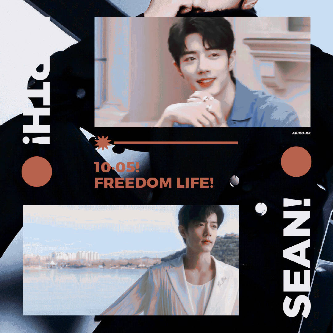 一肖一碼一一肖一子，揭秘生肖與數(shù)字之間的神秘聯(lián)系，揭秘生肖與數(shù)字之間的神秘關(guān)聯(lián)，一肖一碼一與子相連的秘密