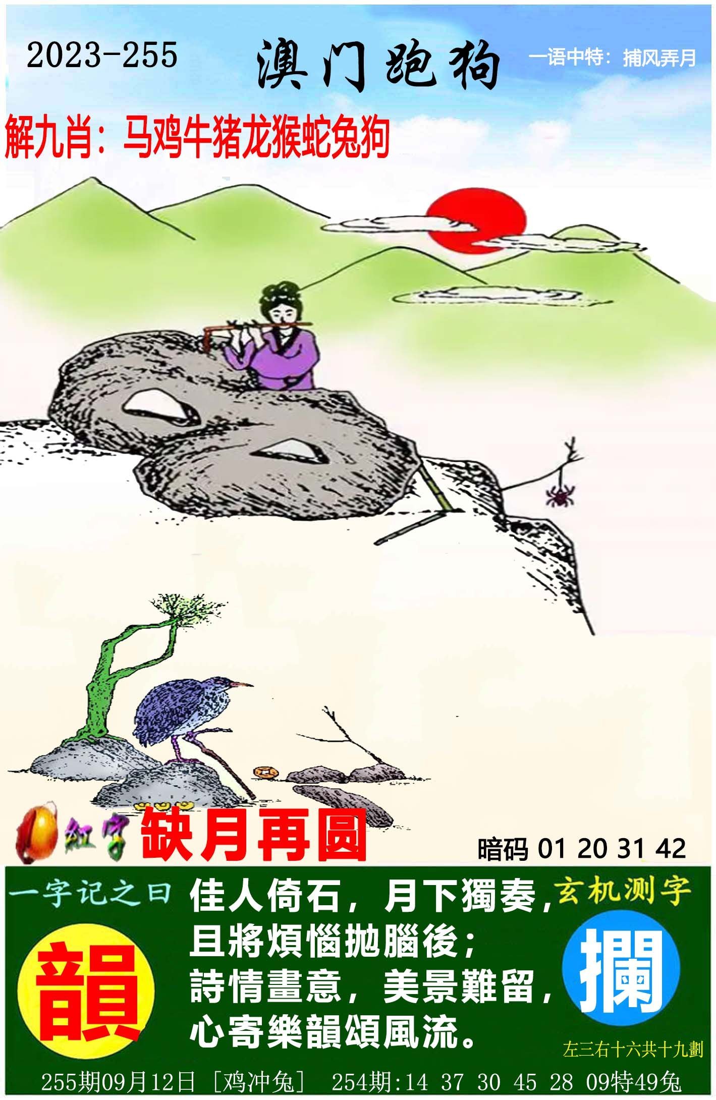 澳門六開獎(jiǎng)結(jié)果特馬師——探索與解析，澳門六開獎(jiǎng)結(jié)果特馬師解析與探索