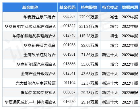 華夏全球基金今日凈值——深度解析市場趨勢與投資策略，華夏全球基金今日凈值揭秘，市場趨勢深度解讀與投資策略探討