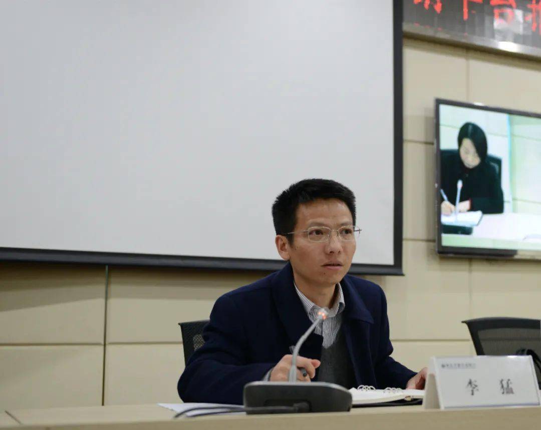 正版王中王一肖平碼圖——深度解析與探索，正版王中王一肖平碼圖深度探索與解析