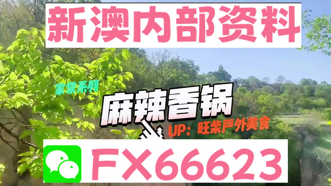 新澳精準(zhǔn)資料免費提供，探索與實踐的指南，新澳精準(zhǔn)資料免費分享，探索與實踐的導(dǎo)航指南