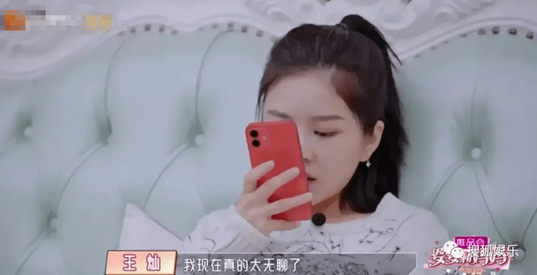 演員杜淳老婆王燦的簡介，揭秘演藝圈背后的幸福故事，杜淳妻子王燦揭秘，演藝圈背后的幸?；橐龉适? class=