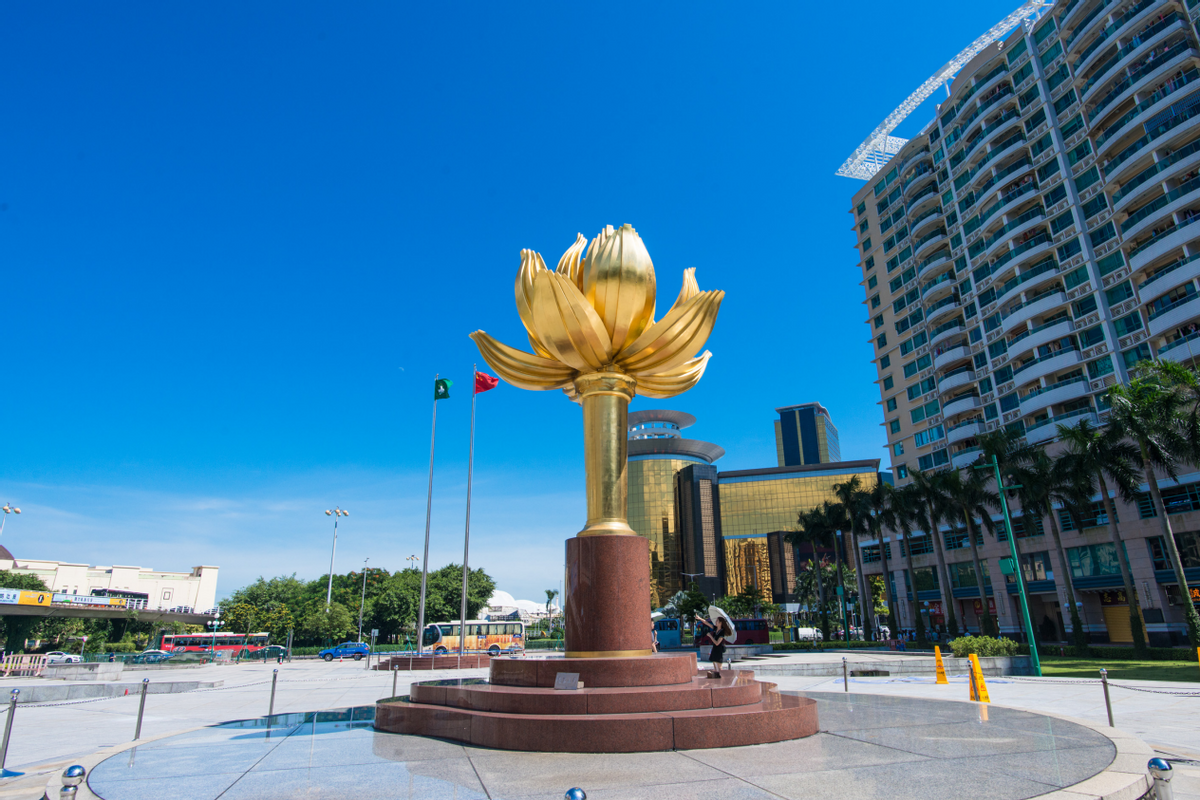 澳門(mén)一碼一肖一待一中四不像——揭開(kāi)神秘面紗下的真相，澳門(mén)神秘事件揭秘，一碼一肖一待一中四不像真相探索